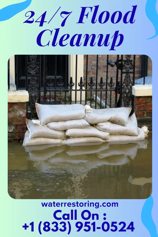 24/7 Flood Cleanup in Ellisville, MS