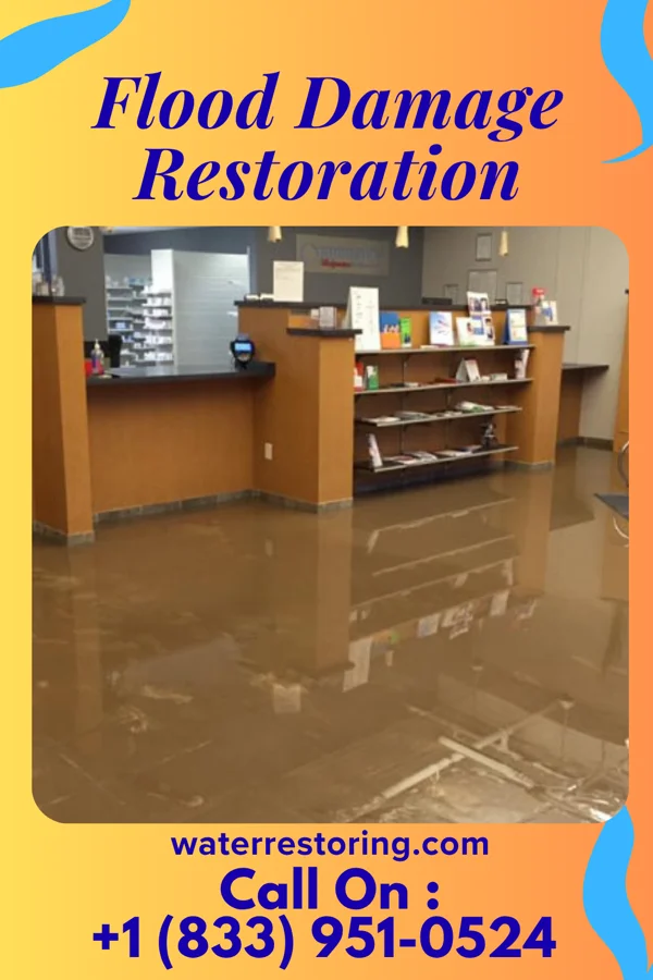 Flood Damage Restoration in Ellisville, MS