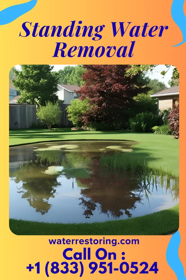 Standing Water Removal in Ellisville, MS